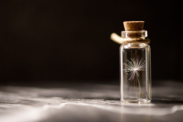 dandelion 5898545 1280