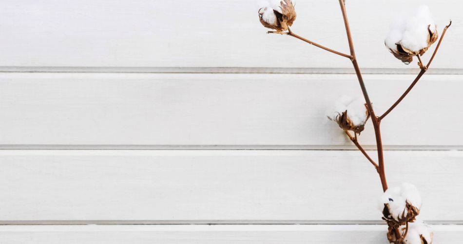 white botanical background 1