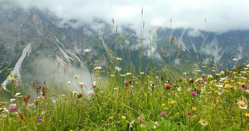 krinnenkopf 4584473 1280 1