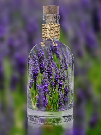 lavender 1490788 1280