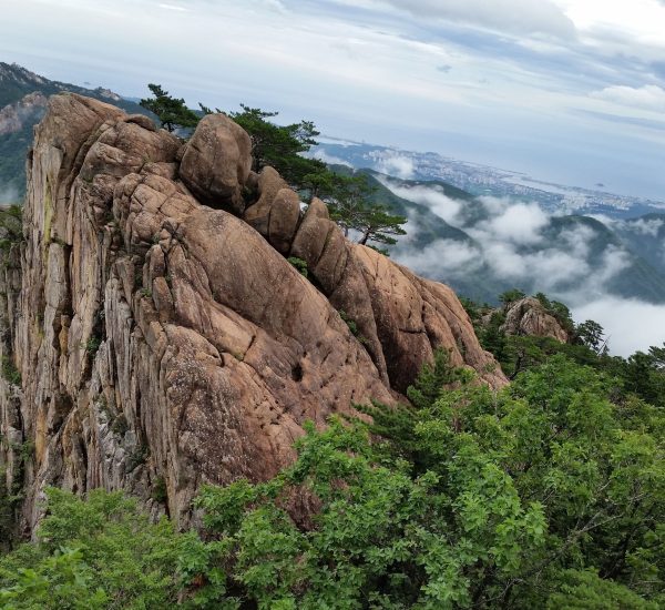 rinae mt seolark 958642 1