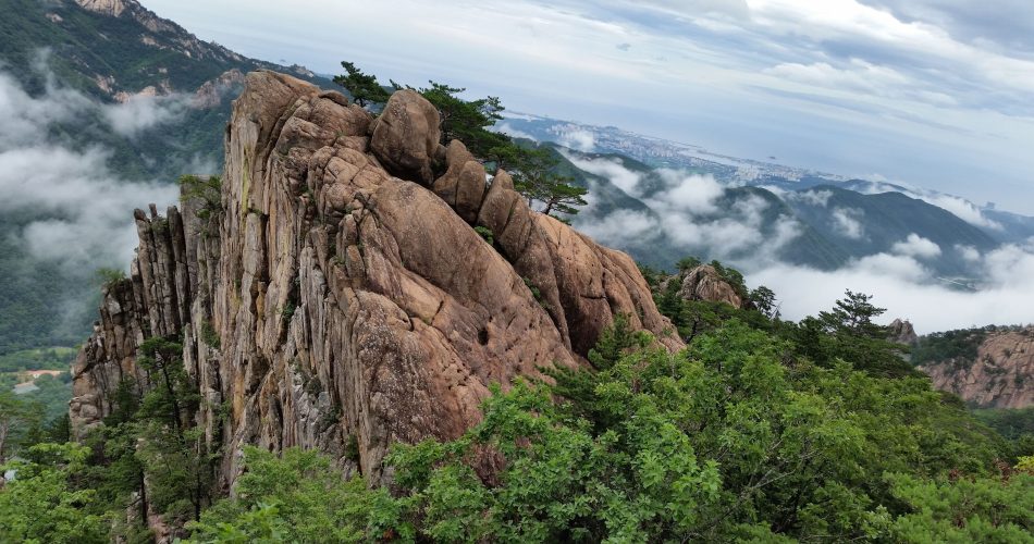 rinae mt seolark 958642 1